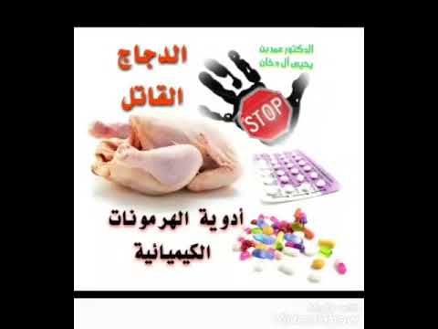 تحذير الدكتور عمر بن يحيى آل دخان من الدجاج الصناعي وبيان اضراره