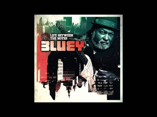 Bluey - Life Between the Notes