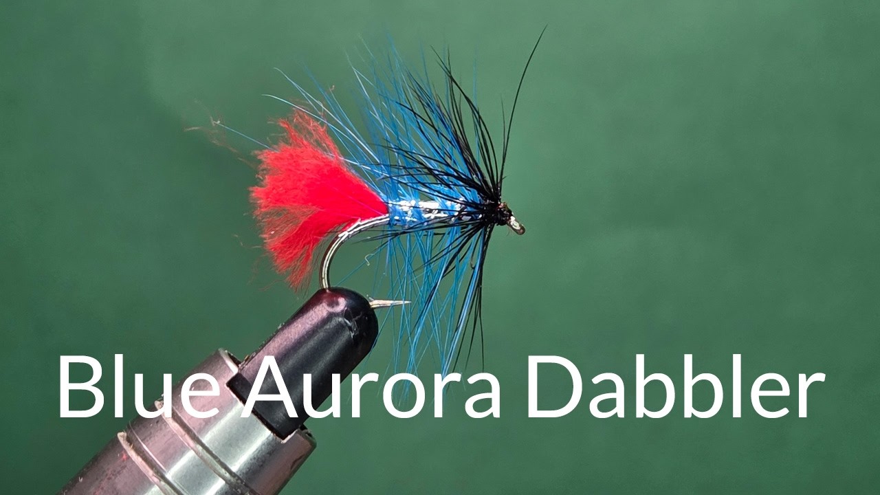 Blue Aurora Dabbler - One Fly A Day
