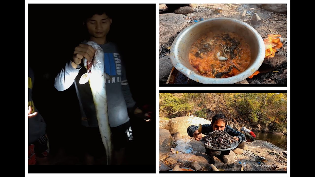 What type of water creature is this?BigBirdPeacewahdoh firsttime eating