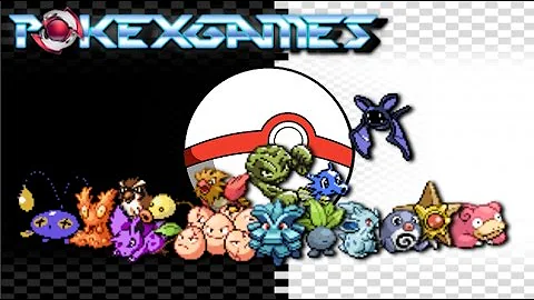 Para que serve a Premier Ball?