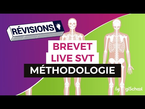 Brevet 2017 : Méthodologie pour la SVT en live avec digiSchool