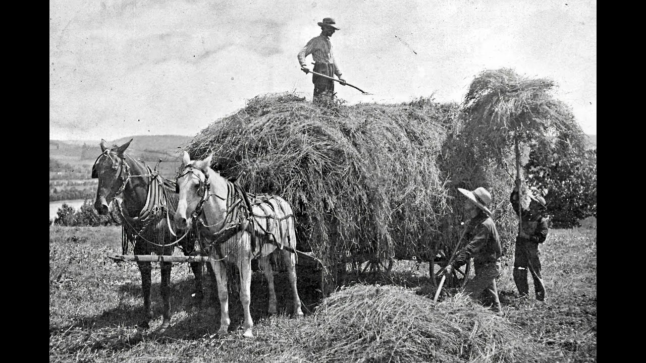 BIHS: Westward Arrival: Snyder County, PA Pioneers to Bristol, IN (1800s)