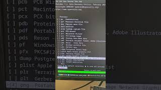 ¡No entres en pánico! Recupera tus fotos BORRADAS gratis #datarecovery