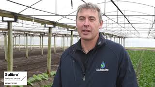 Salibro Reklemel active: The need for nematode control - Rhys Robinson, EE Muirs & Sons