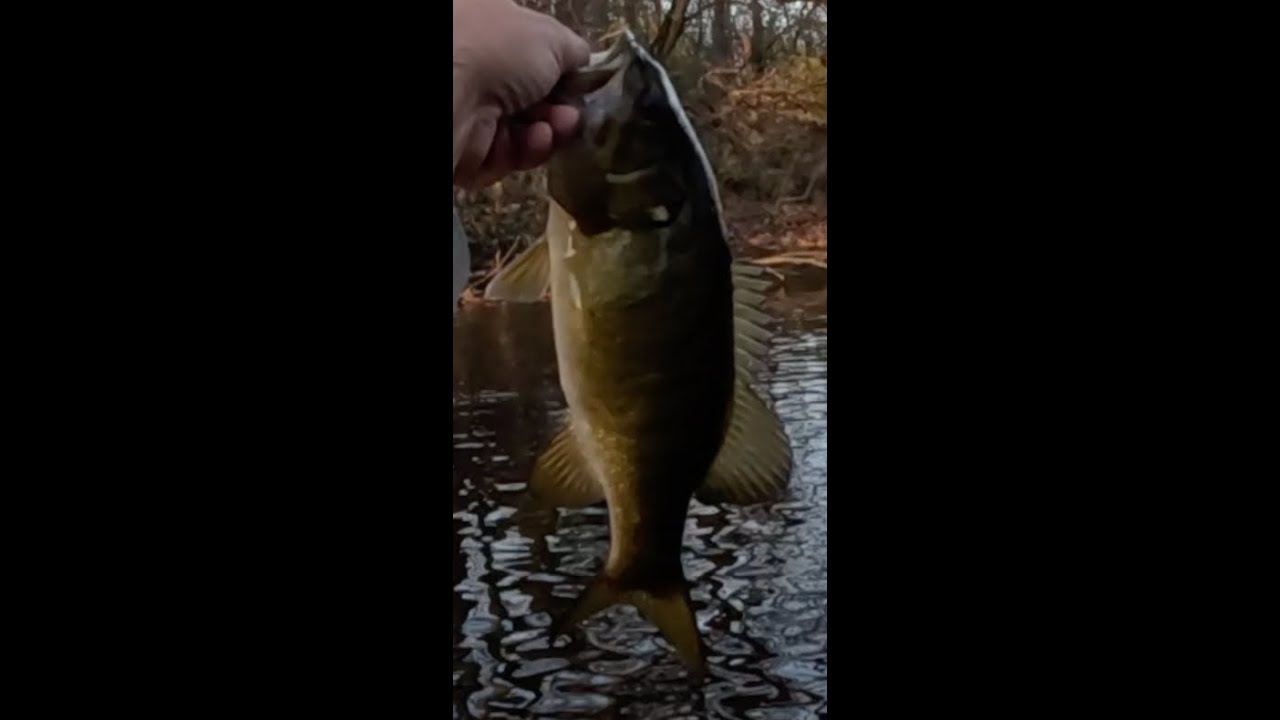 A very slow evening ended with 2 decent smallmouth bass.