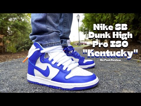 Nike SB Dunk High Pro ISO 