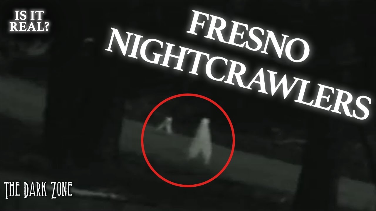Analyzing Footage of Fresno Nightcrawlers