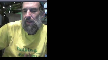 INFJ, INTJ, ENTP, INTP: How Each (doesn