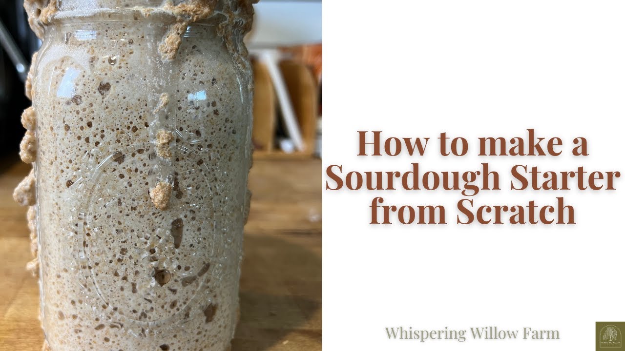 How to make a Sourdough Starter from Scratch FOOL PROOF RECIPE