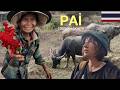Pai Vlog | 1 Günde 6 Noktayı Geziyoruz