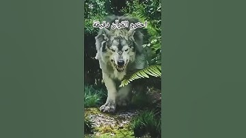 تلاوة حزينة من سورة الملك #سورةالملك #الله #قران_كريم #quran #surah #تيك_توك #shortvideo