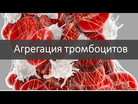 Просто о сложном: агрегация тромбоцитов