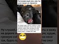 Расскажи ещё раз #шортс #юмор #смех #прикол #рекомендации #смешновидео #мем #фильм #новости