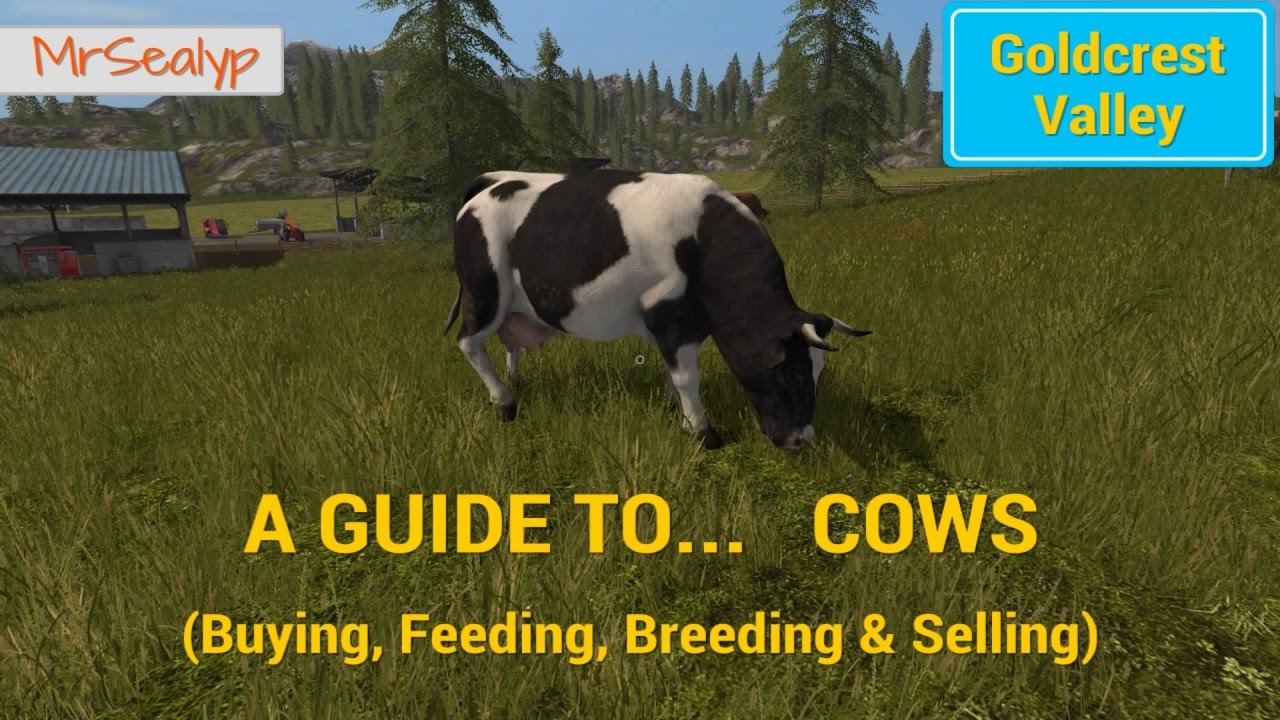Farming Simulator 17 Ps4 A Guide To Cows Buying Feeding Breeding Selling Youtube
