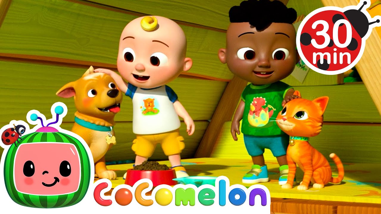 Cute Cat and Dog Song | Cody & JJ! It's Play Time! CoComelon Kids Songs ...