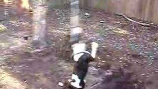 Bishop On The Spring Pole Again