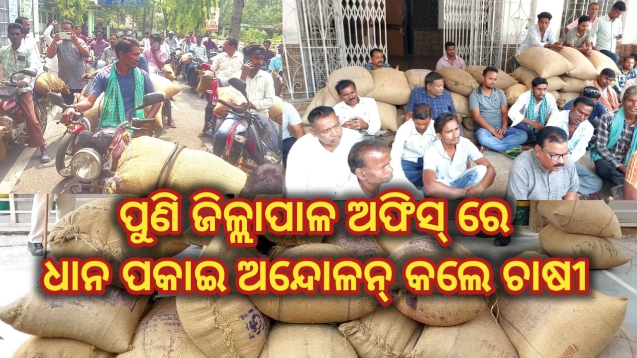ପୁଣି ଜିଲ୍ଲାପାଳ ଅଫିସରେ ଧାନ ପକାଇ ଆନ୍ଦୋଳନ ରେ ବସିଲେ ଚାଷୀ #bargarh #aamartv #farmer #paddy #andolan