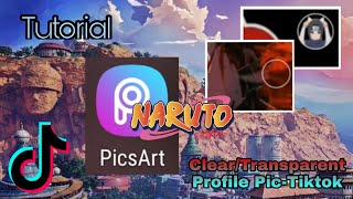 How To Make Cleartransparent Profile Picture On Tiktok - Tutorial Picarts