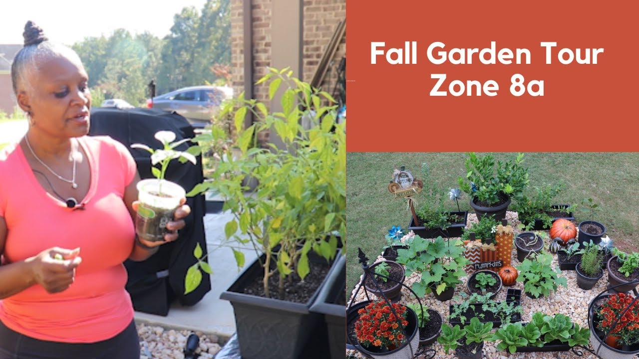Fall Garden Zone 8a and Tour - YouTube