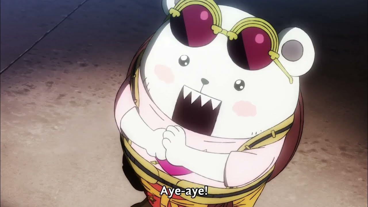 bepo cute and funny moments one piece YouTube