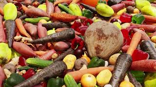 Food Banks - 'Did You Know Series' -  The THRIVE Platform
