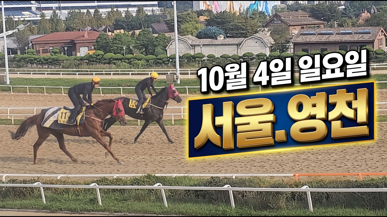 [ 2026년 10월 4일 일요(서울.영천)경마~!]