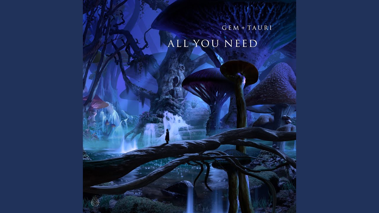 All You Need (Extended Mix)