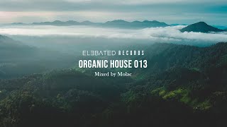 ORGANIC HOUSE MIX | Organic & Ethno Deep House Music | by Molac