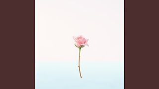 Celebrity Same old Wealth