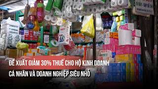 Proposal to Reduce Taxes by 30% for Business Households, Individuals, and Micro-Enterprises