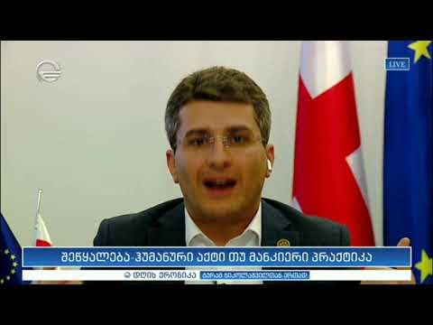 მამუკა მდინარაძე სტუმრად დღის ქრონიკაში