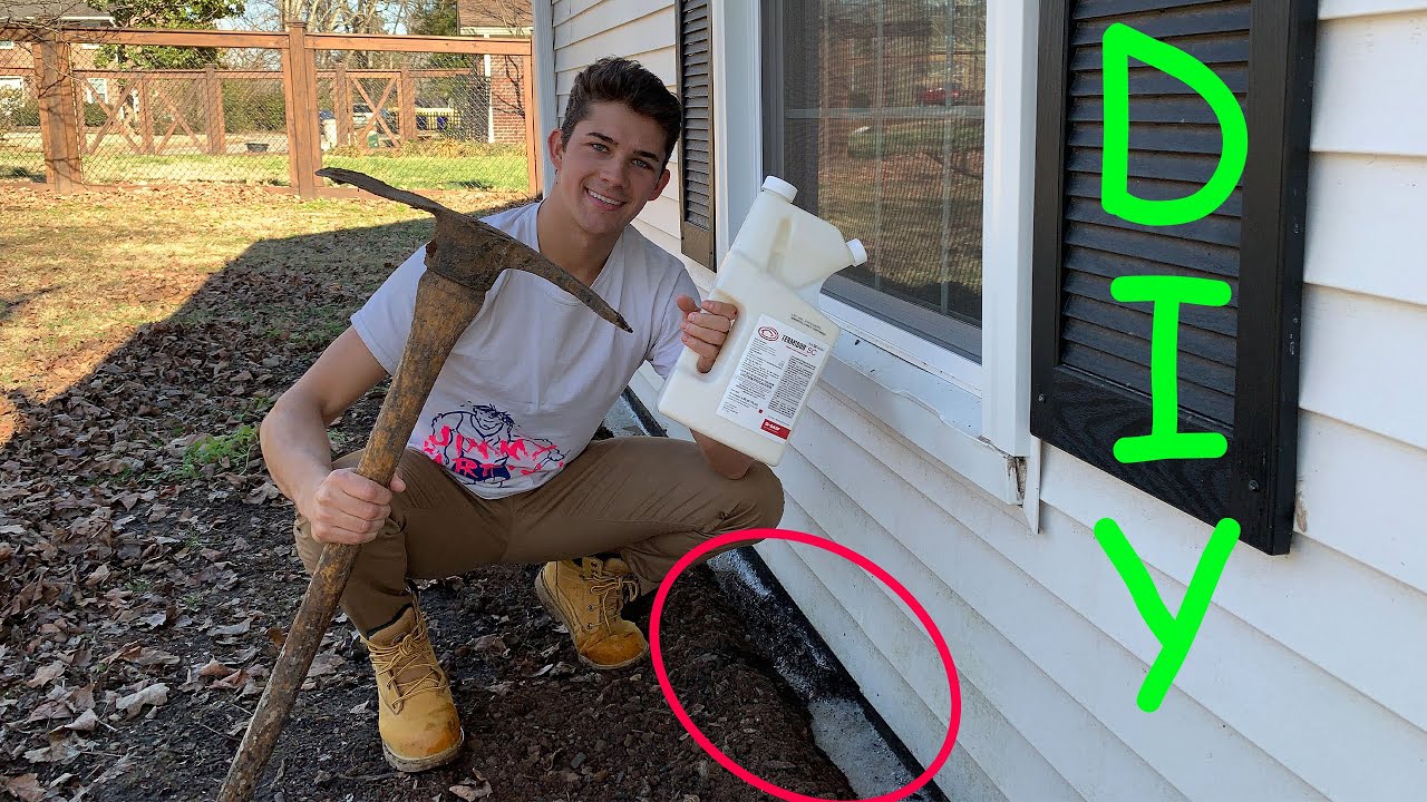 Как избавиться от термитов в подполье дома — самостоятельная обработка от термитов