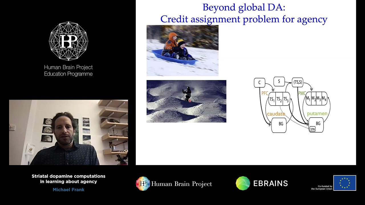 Frank Michael - Striatal dopamine computations in learning about agency