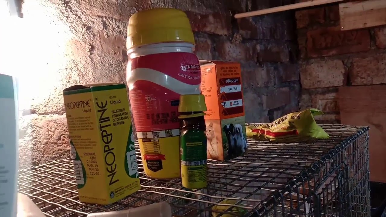 Medicine required for birdsপাখির জন্য প্রয়োজনীয় ওষুধ YouTube