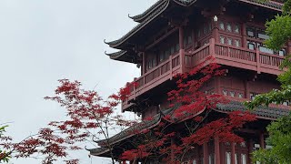 Meditative journey through China in 2026. Chengdu, Avatar Mountains, Shanghai.