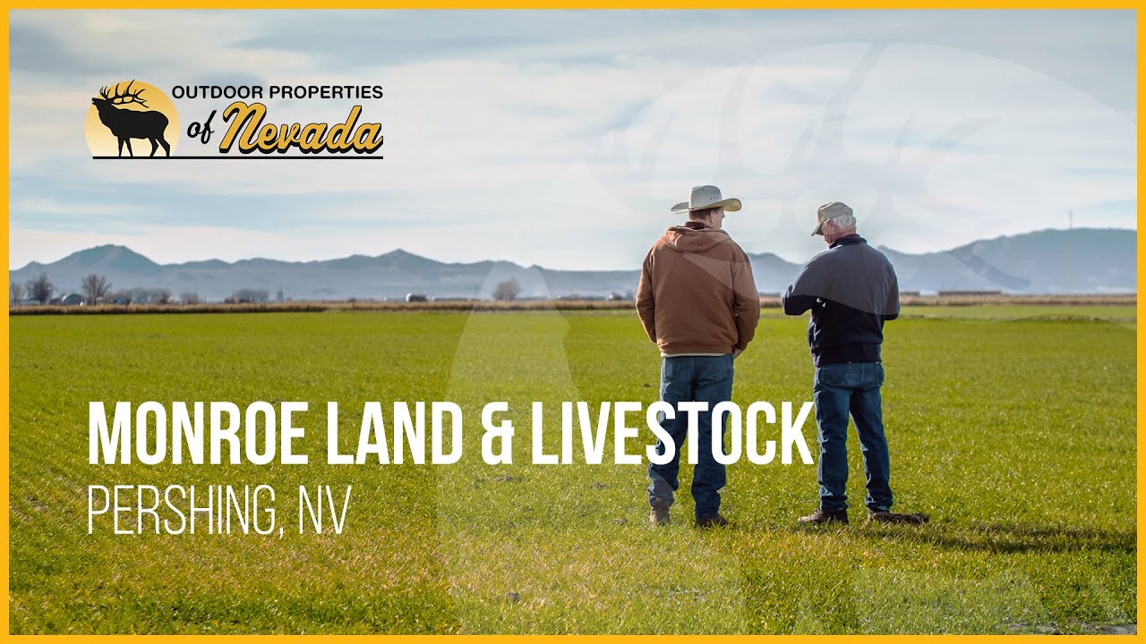 Monroe Land and Livestock Lovelock, Nevada YouTube