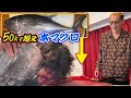 視聴者が送ってきたマグロ一本を怪物くんに食わせてみた