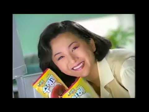 박순애 출연 비락식혜 비락수정과 CF