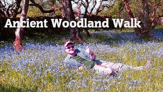 A quick wander around Wharfe \& Oxenber Ancient Woodlands