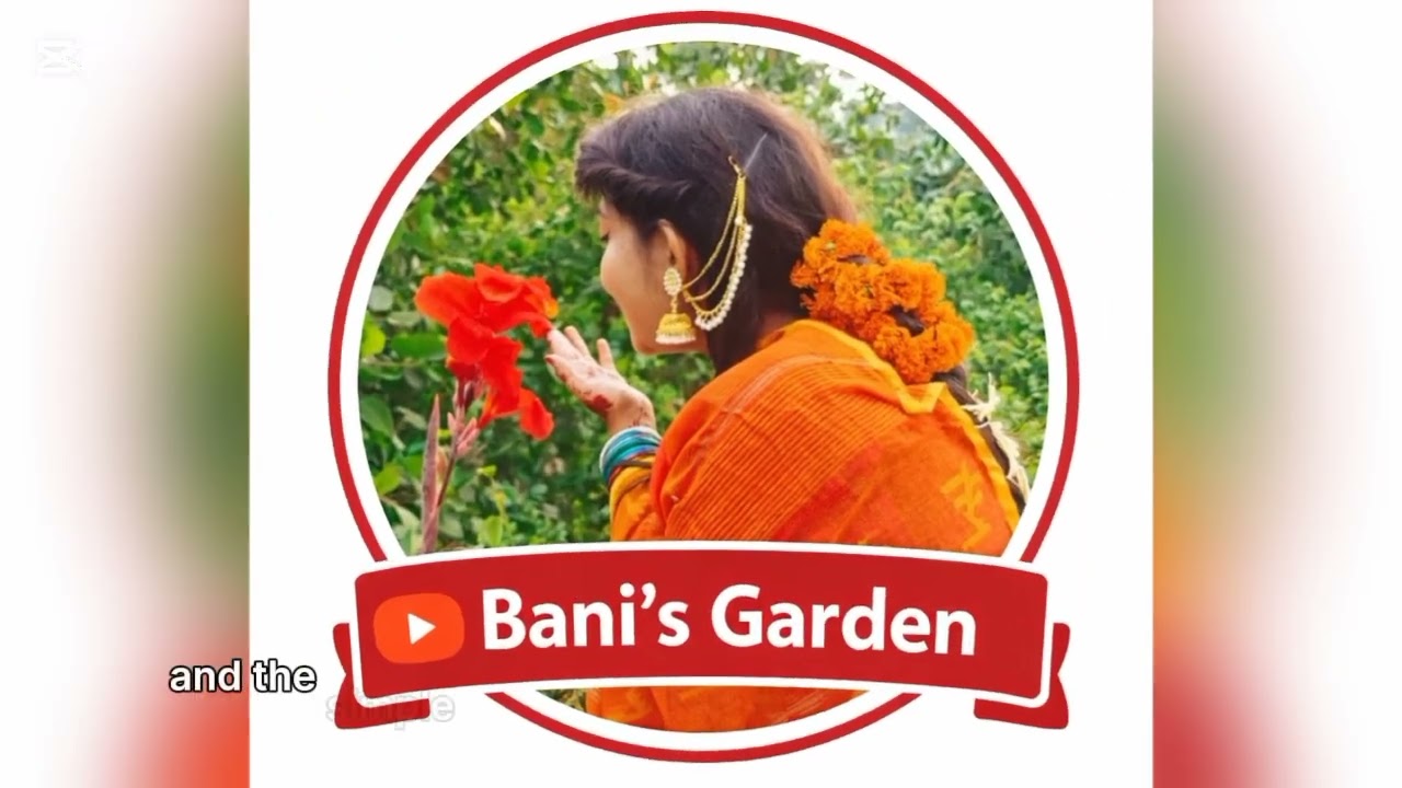 just some information about my tiny roof garden. Hope u all enjoy my garden & thanks   