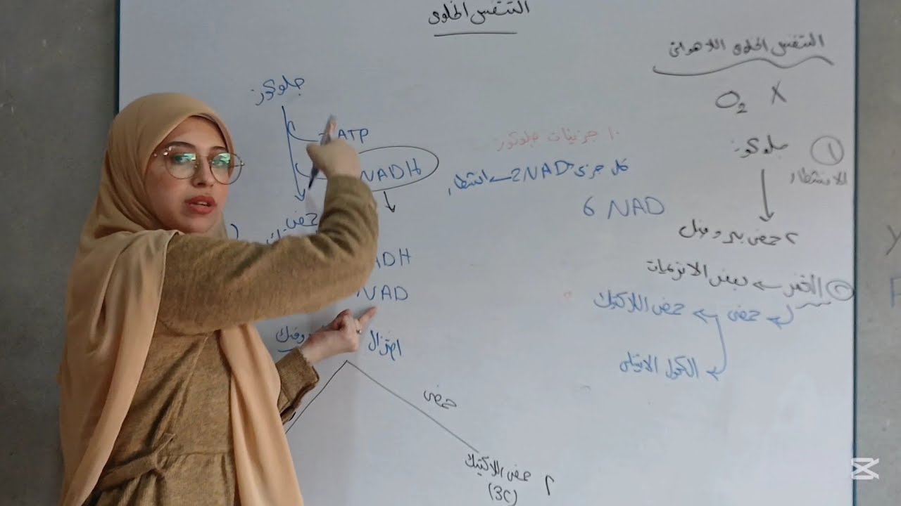 أحياء تانية ثانوي 2025 | شرح سلسلة نقل الألكترون + التنفس الخلوي