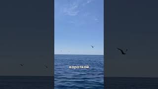 Пиши «КРЫМ» на 89177781020 вышлю подборку