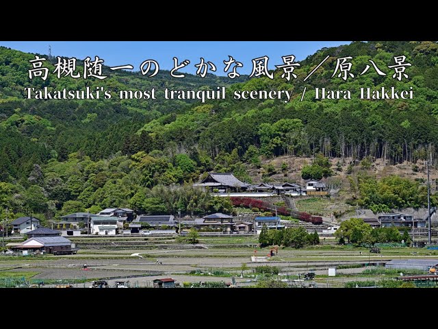 日本の風景 日本の抒情（2026年版）｜株式会社トーダン
