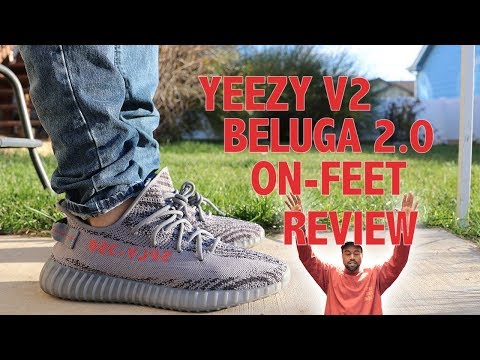 yeezy 35v2 beluga 2.