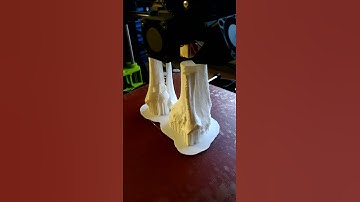 3D Printed Tibia
