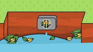 Details How Yard Waste Affects Streams Update