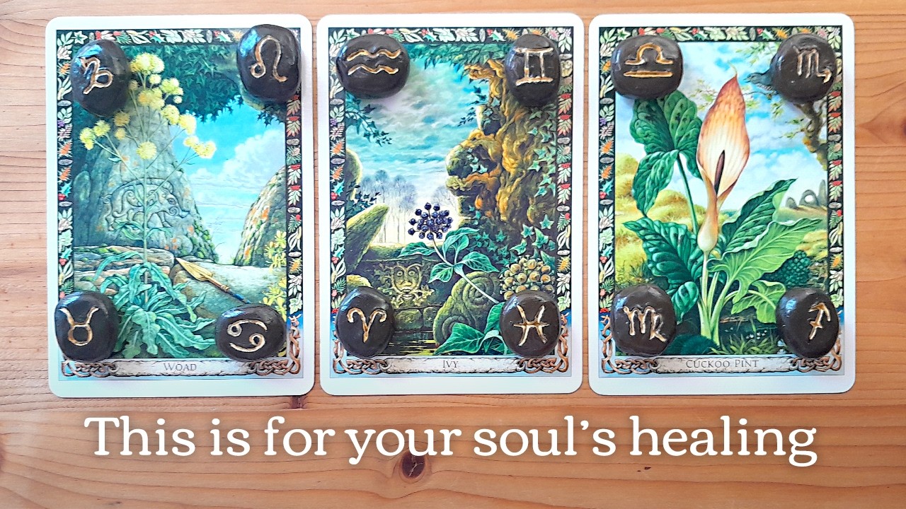 The medicine you need right now - Pick-a-Card #timeless #tarotreading #pickacard