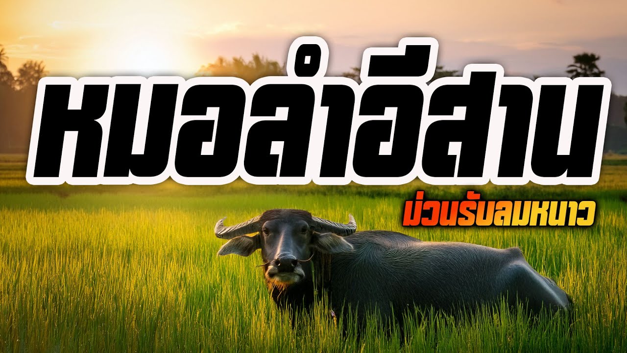 หมอลำอีสาน : ม่วนรับลมหนาว