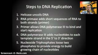 IB 2.7 & 7.1 -  DNA Replication